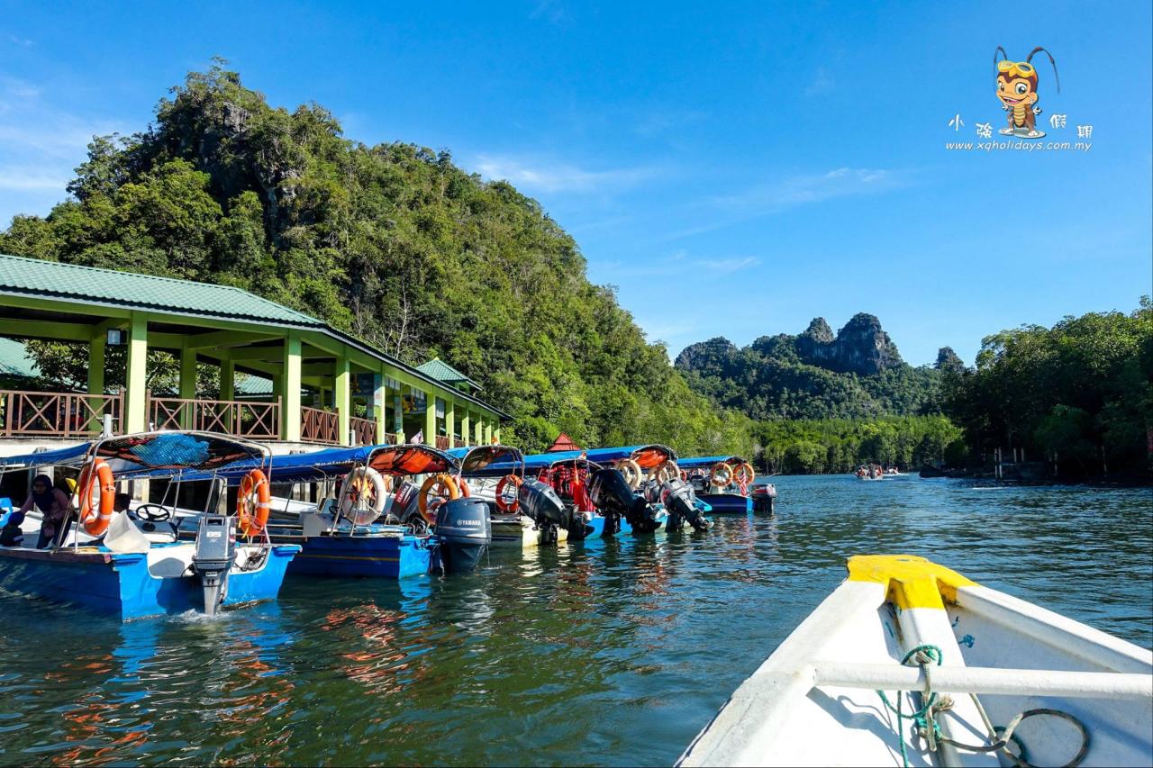 Jelajahi Keindahan Hutan Bakau Langkawi dengan Mangrove Tour yang Menawan